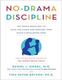 No Drama Discipline Summary | Daniel Siegel & Tina Payne