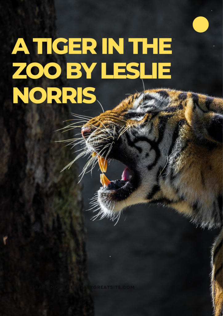 Summary of A Tiger in the Zoo By Leslie Norris