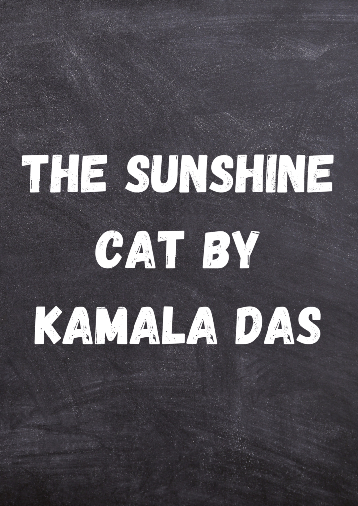 Summary of The Sunshine Cat By Kamala Das