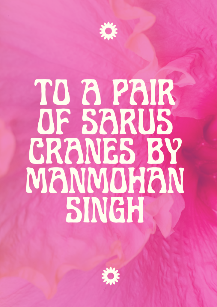 Summary of To a Pair of Sarus Cranes By Manmohan Singh